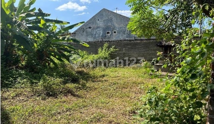 Potential Development Land in Singaraja-Seririt, Anturan Village, Buleleng