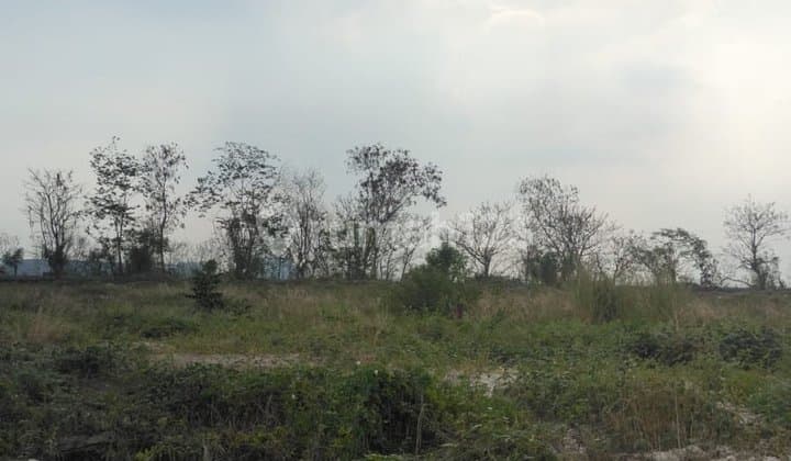 Tanah Industri Manyar Gresik .Maspion V. Lebar 68M X 350M. HGB Pt. Row Jalan 40M.
