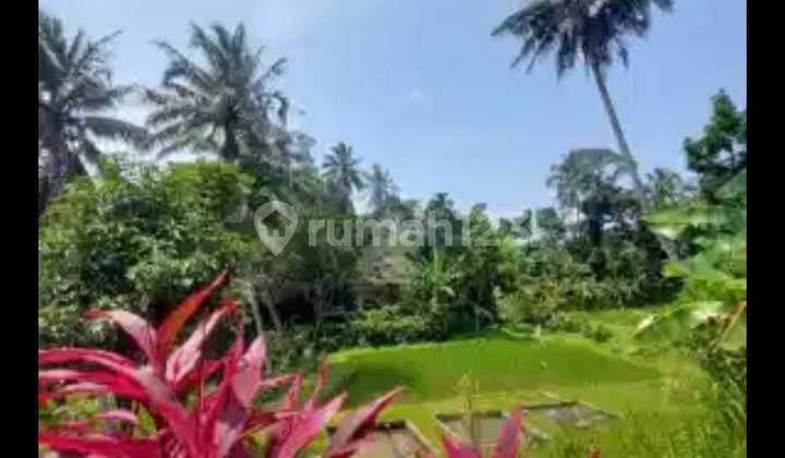 Tanah Warung Menteng, Caringin/Cijeruk Bogor Cocok untuk Cafe & Resto.