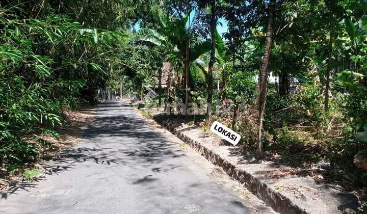 Dijual Tanah Pekarangan Murah di Dekat Pasar Butuh Cangkringan.jk11436