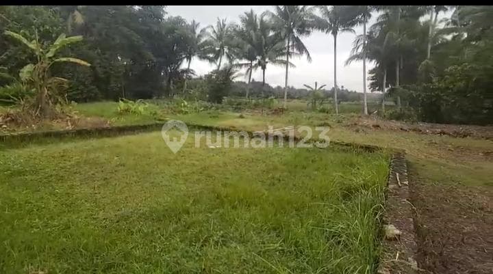 Tanah Kapling di Barat Pasar Butuh Jln Raya Sentolo -Brosots Siap Balik Nama.jk4013