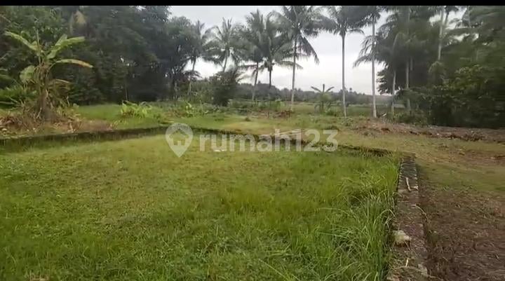 Tanah Kapling di Barat Pasar Butuh Jln Raya Sentolo -Brosots Siap Balik Nama.jk4013