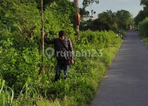 Dijual Tanah di Mojosongo