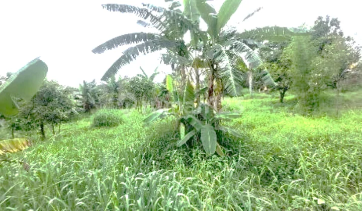 Tanah Dijual Tajur Halang