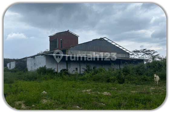 Investasi Pabrik Murah Aset Bsi di Lampung