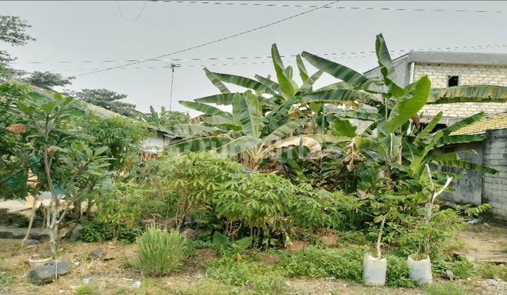 Tanah Kosong di Kota Banjarbaru