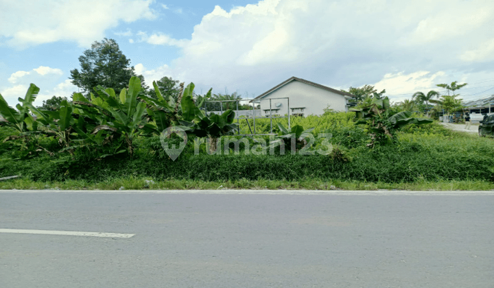 Tanah Kavling di Kabupaten Kotawaringin Timur