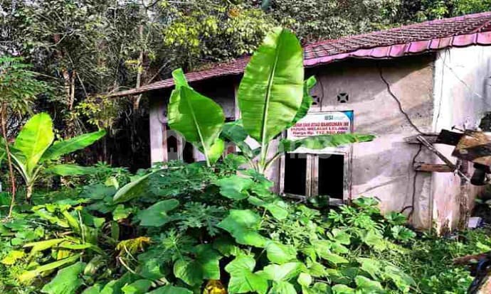 House For Sale East Jambi