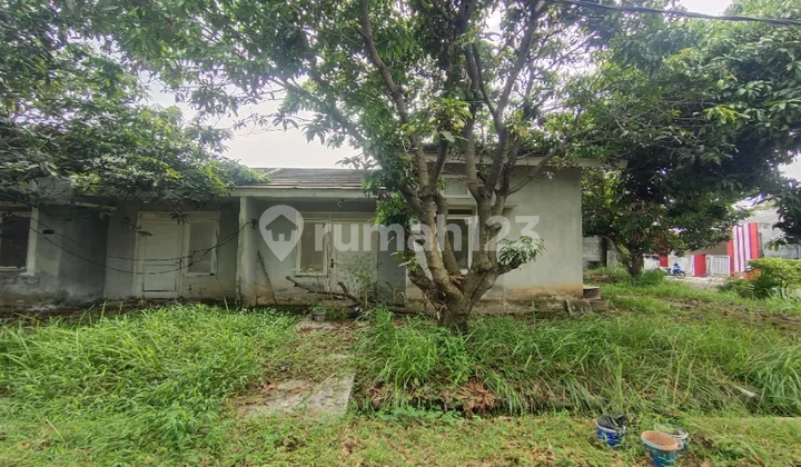 Rumah Dijual Jonggol Rumah Dijual Jonggol
