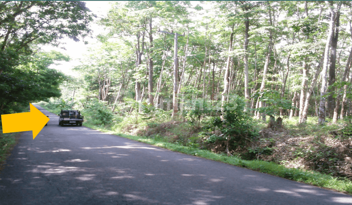 Tanah Dijual Semendawai Suku Iii