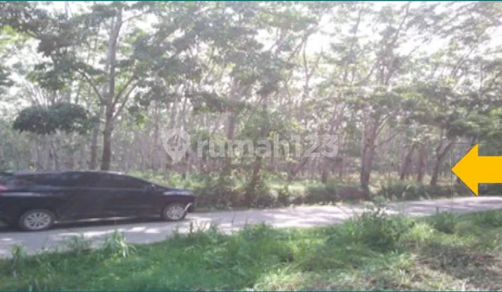 Tanah Dijual Semendawai Suku Iii