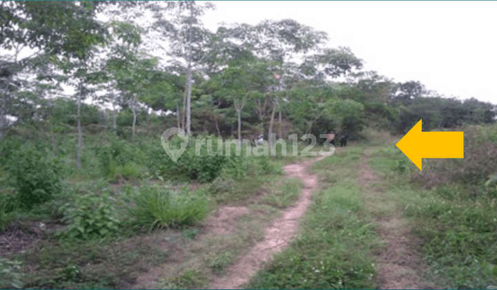 Tanah Dijual Semendawai Suku Iii