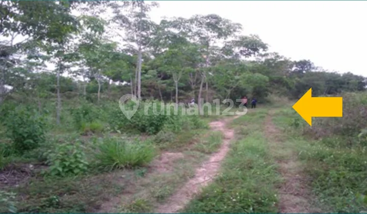 Tanah Dijual Semendawai Suku Iii