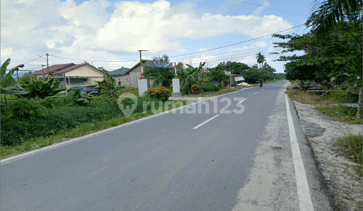 Tanah Kavling di Kabupaten Kotawaringin Timur