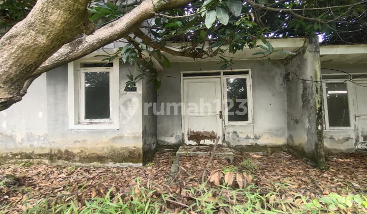 Rumah Dijual Jonggol Rumah Dijual Jonggol