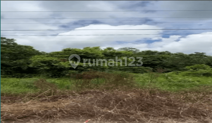 Tanah Kosong di Samboja