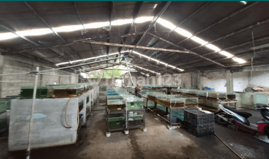 Gudang Dijual Bojong Sari