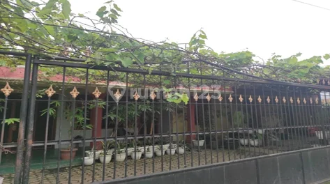 Rumah Siap Huni yang Luas Berada di Kota Medan Rumah Siap Huni yang Luas Berada di Kota Medan