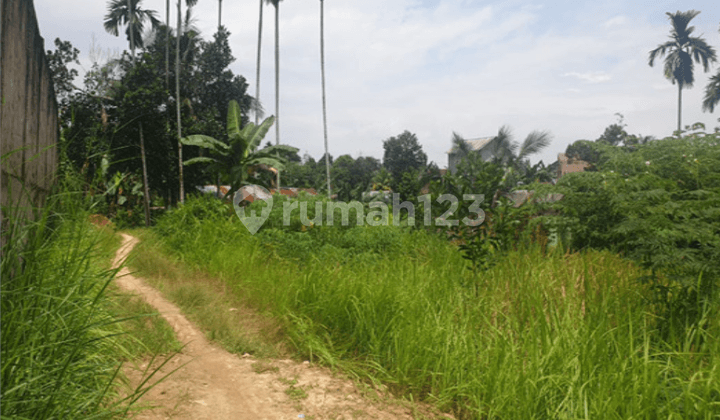 Tanah Dijual Alam Barajo