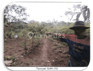 Tanah Kosong Murah Aset Bsi di Lebak, Banten