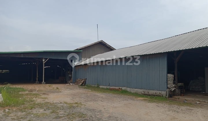 Factory for Sale in Kasemen