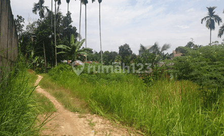 Tanah Dijual Alam Barajo
