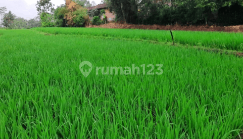 Tanah Dijual Girimarto