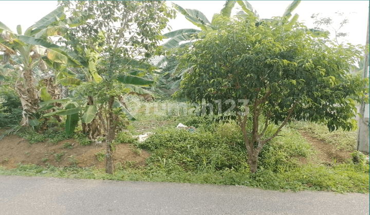 Tanah Kosong di Kota Banjarbaru