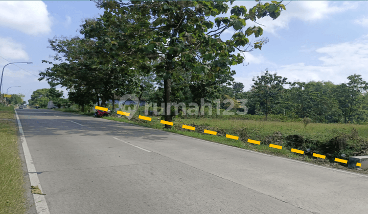 Tanah Dijual Tanon