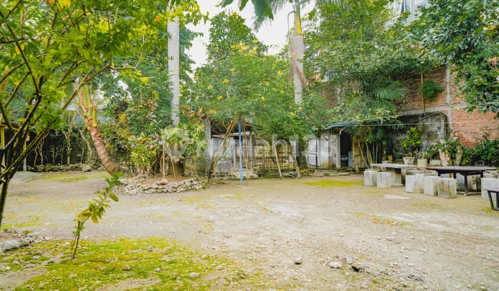 1500 Land In Prime Seminyak With Established Diving Center Business