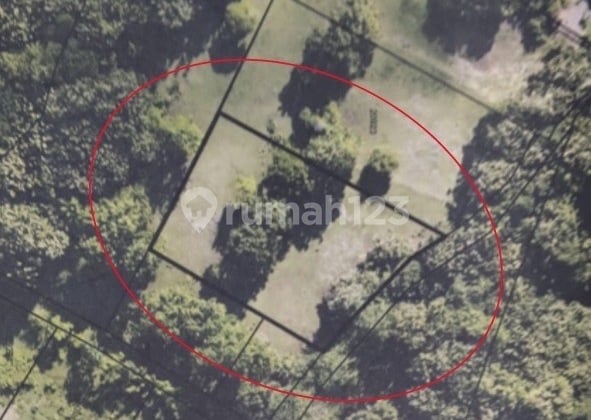 Yellow Zone Freehold Land In Balangan