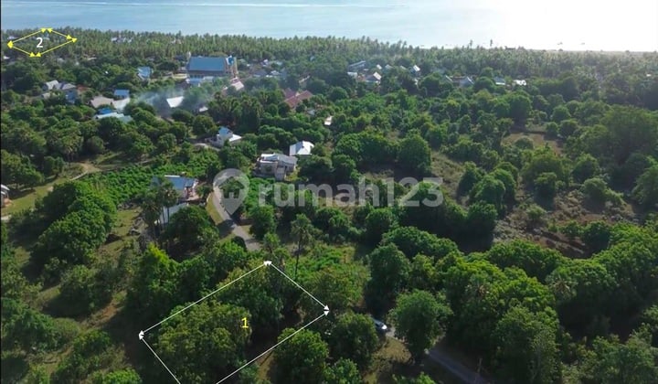 Land Near The Ocean For Sale In Nembrala, Rote Island