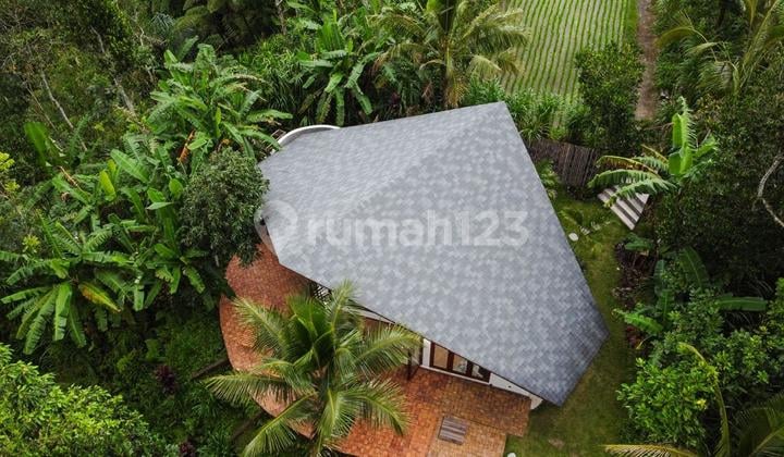 1 Bedroom Jungle View Villa With Absolute Privacy For Sale