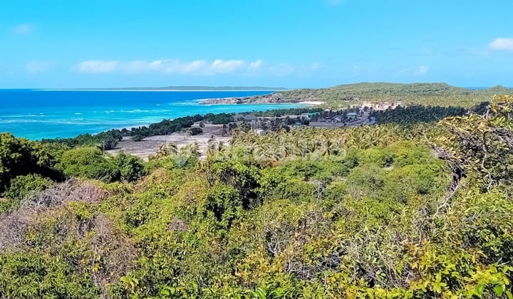 Freehold Ocean View Land For Sale In Rote Island