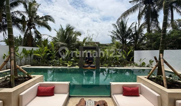 Riverfront Brand New Villas For Sale In Singapadu, Ubud