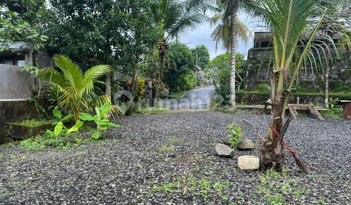 Riverside Land For Lease In Ubud With Petanu River Views