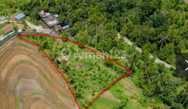 Freehold Land In Singaraja, North Bali