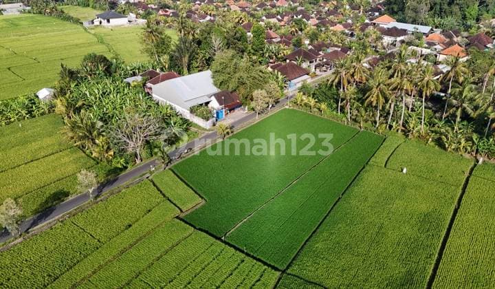 Scenic Leasehold Land In Kaba Kaba For Sale With Rice Field, Mountain And Ocean Views