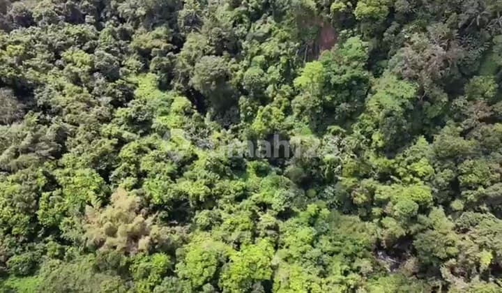Expansive 13 Hectares Of Land With Jungle, River, And Waterfall Views In Tegalalang, Ubud
