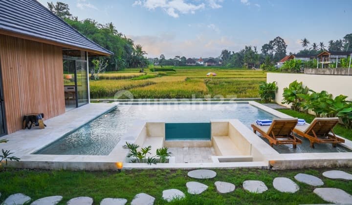 Villas with Rice Field Views in Ubud for Sale
