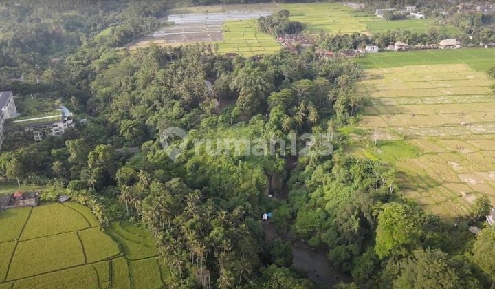 Land With Views In Ubud, Lodtunduh For Sale