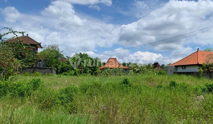 Rare 5 Are Pink-Zone Land In Penestanan Ubud