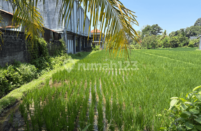 Prime 7 Are Pink Zone Land With Rice Field & River Views