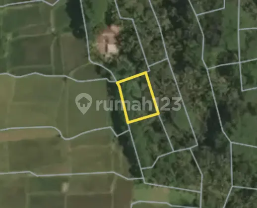 880 Sqm Prime Land In Pejeng Ubud For Sale