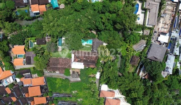 Riverside Pink Zone Land For Lease In Prime Umalas