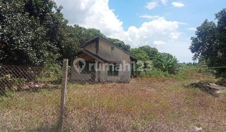 For Sale Flat Land Beside Main Road + Empty House For Sale Flat Land Beside Main Road + Empty House