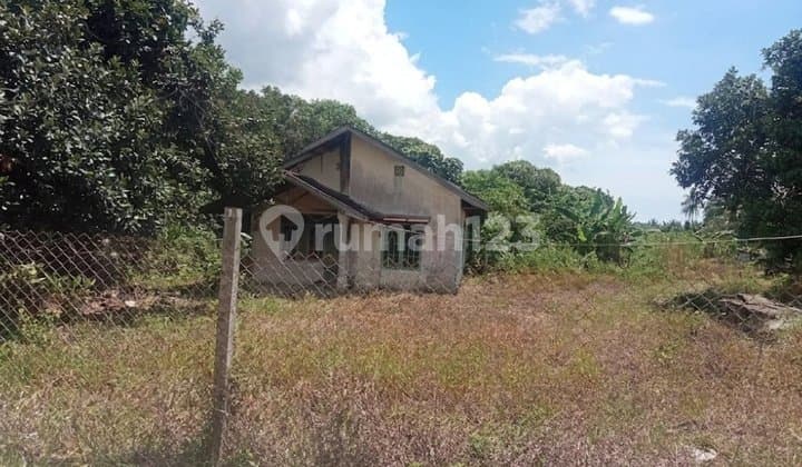 For Sale Flat Land Beside Main Road + Empty House