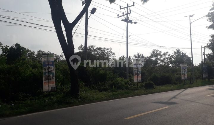 Tanah Komersil di Pinggir Jln Raya