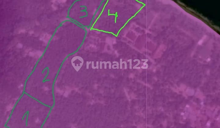 Land Near the Beach