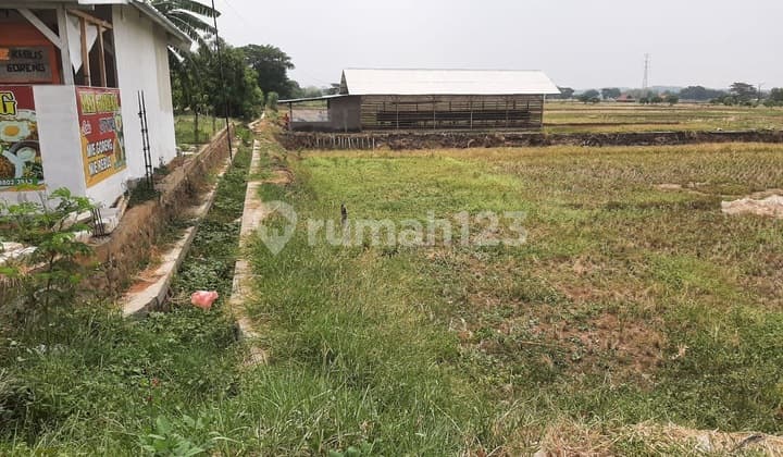 Tanah/ Sawah Strategis Makalengka